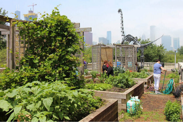 Permaculture urbaine