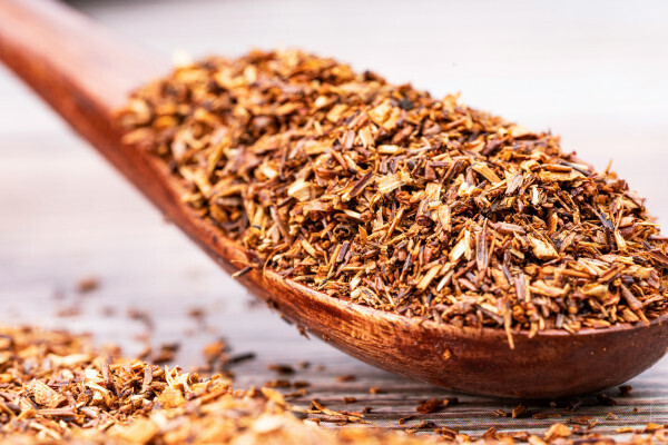 Rooibos: discover the benefits of this exceptional plant!